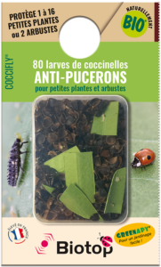 Boîte de lâcher Vivapack pour les larves de coccinelles anti pucerons pour petites plantes et arbustes